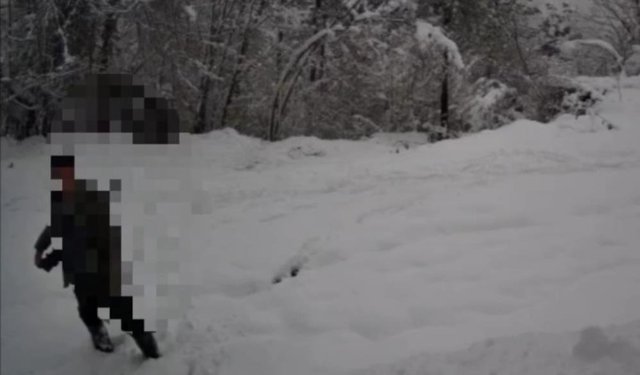 Ormanda yasa dışı avlanmaya suçüstü