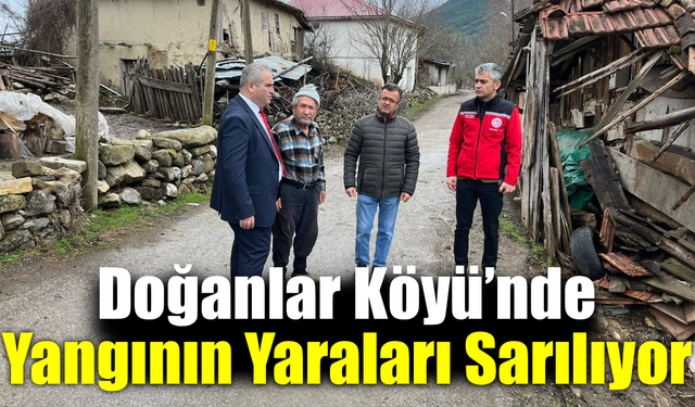 Doğanlar Köyü'nde yangın sonrası zarar tespiti başlatıldı