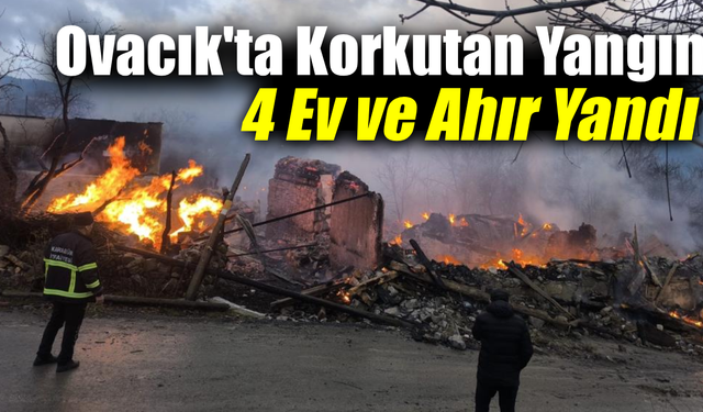 Doğanlar Köyünde alevler 5 yapıyı küle çevirdi