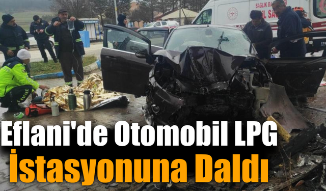 Kontrolden çıkan otomobil LPG istasyonuna çarptı