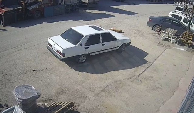 Yerde yatan köpeği ezip yoluna devam etti