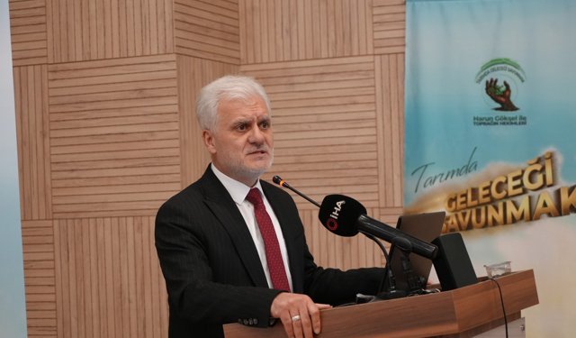 Kastamonu’da defne üretimi 3 bin hektarı aştı