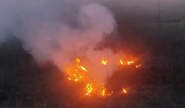 Mudurnu’da alevler yayılmadan durduruldu