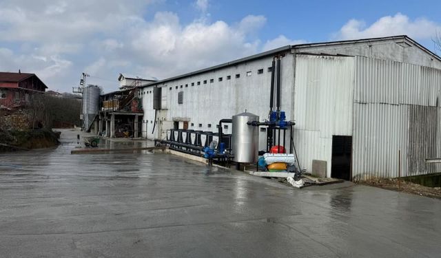 Telef Tavuk Skandalı: Çiftliğe Dev Para Cezası