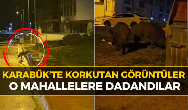 Karabüklüler Aman Dikkat: Aç Kalınca Şehre İndiler!