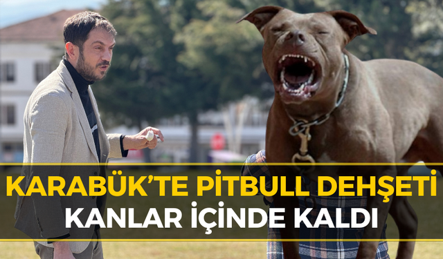 Pitbull Terörü Parkı Kana Buladı