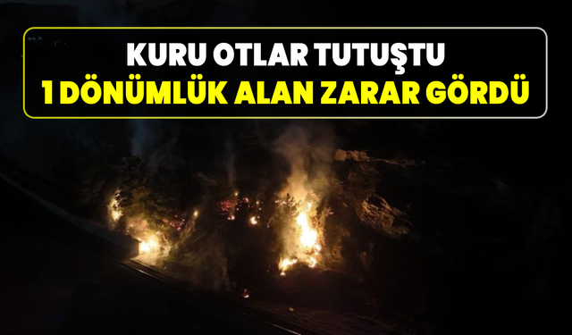 Karabük’te ormanlık alanda korkutan yangın!