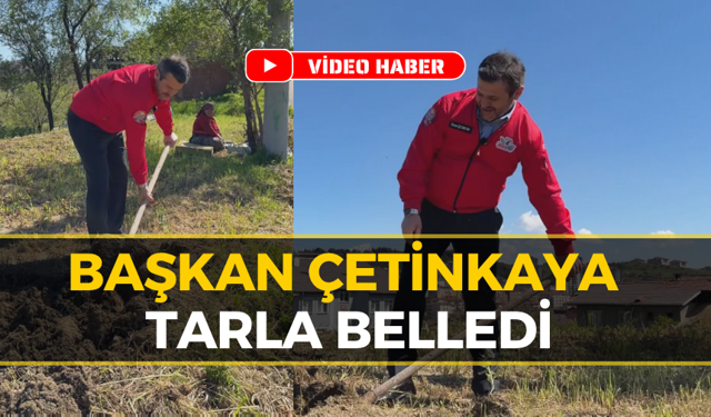 Başkan Çetinkaya Kolları Sıvadı, Tarlada Ter Döktü!