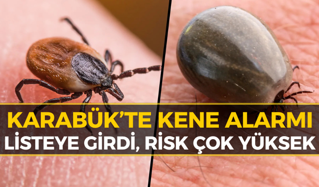 Karabük'te Ölümcül Tehlike: 10 Riskli İl Arasında