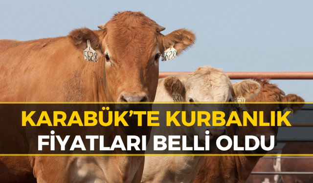 Karabük Kurbanlık Fiyatları 2026 (GÜNCEL) | Karabük Büyükbaş Fiyatları