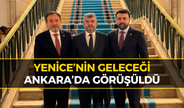 Yenice’nin Projeleri Ankara’da Masaya Yatırıldı