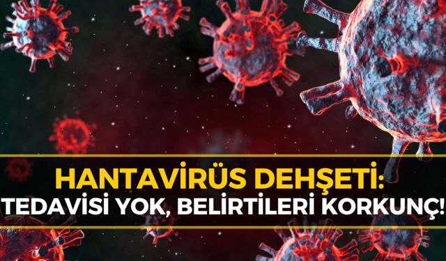 Hantavirüs Hızla Yayılıyor: Bu Belirtilere Dikkat Edin Sonu Ölüm!