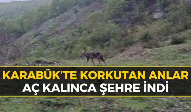 Karabük'te O Mahalleler Dikkat: Evlerin Dibine Kadar Geldi