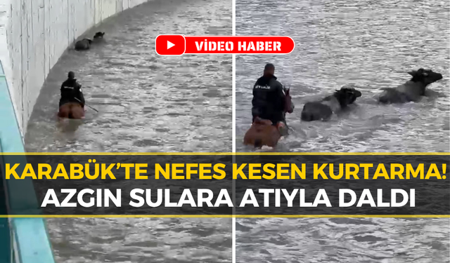 Karabük'te Can Pazarı: Akıntıya Karşı Atıyla Meydan Okudu!