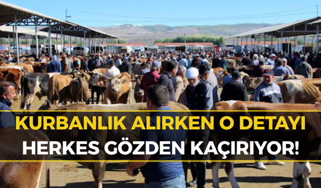 Kurbanlık Seçiminde En Sık Yapılan Hata