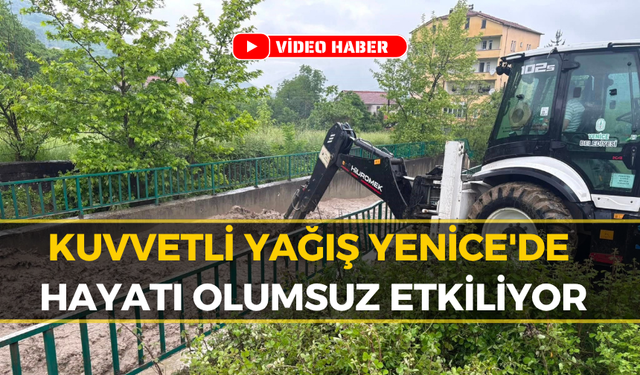 Karabük Yenice'de Dere Taştı: Evler Tehlikede!
