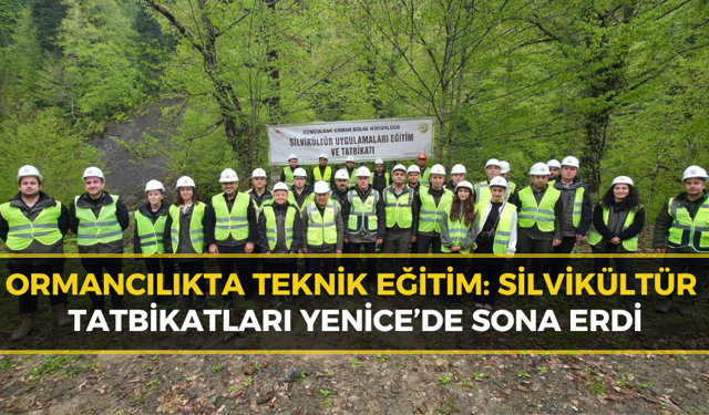 Geleceğin Ormanları Planlanıyor: Sahada Uygulamalı Gençleştirme Eğitimi