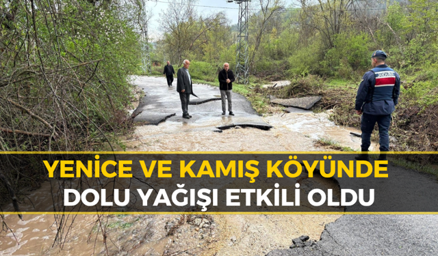 Tamşılar Köyünde Yol Çoktü: Ulaşım Kapalı