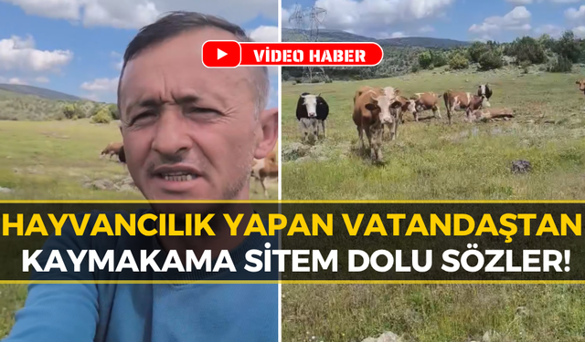 Köylüden Şoke Eden İddialar: "İneğime Trafik Cezası Yazdılar"
