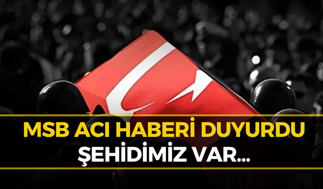 MSB’den Acı Haber: Askerimiz Şehit Oldu!