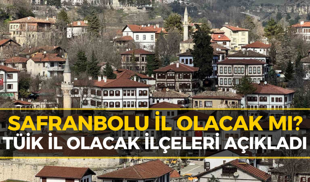 TÜİK Açıkladı: İl Olmaya Hak Kazanan 24 İlçe Belli Oldu!