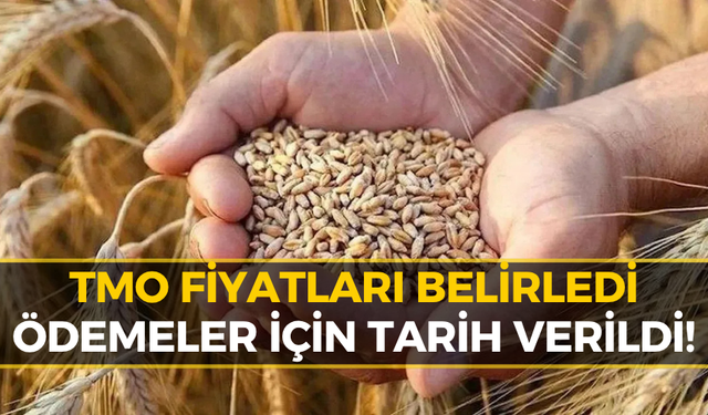 2026 Yılı Hububat Alım Satış Fiyatları Resmi Olarak Açıklandı!