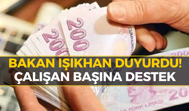 Dev Destek Kararı! Çalışan Başına 3 Bin 500 TL Ödeme Yapılacak