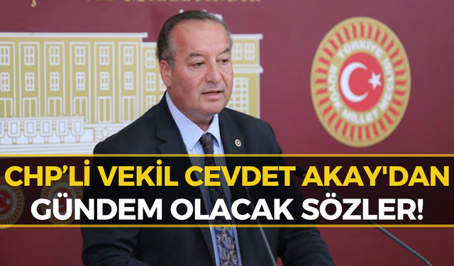 CHP'li Akay'dan Sert Çıkış: "Yangının Sorumlusu Belli"