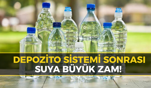 Depozite Fırsatçılara Darbe: Bakanlık Denetim Başlattı