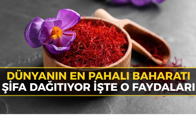 Safranbolu’nun Altın Değeri: Dünyanın En Pahalı Baharatının Bilinmeyen Faydaları