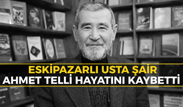 Karabüklü Şair Ahmet Telli Yaşamını Yitirdi