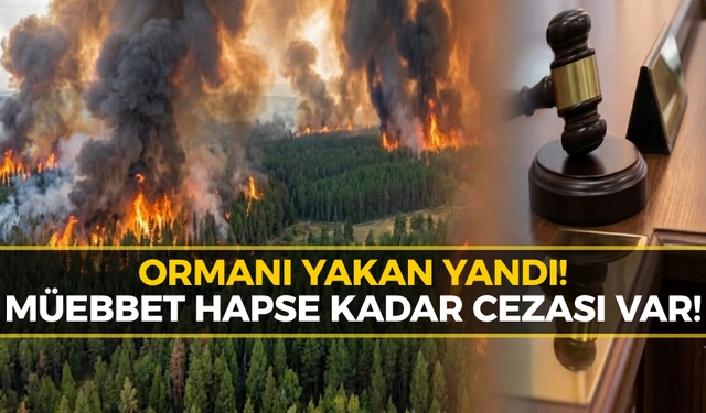 Orman Yangınında Cezalar Ağırlaşıyor! İşte Detaylar