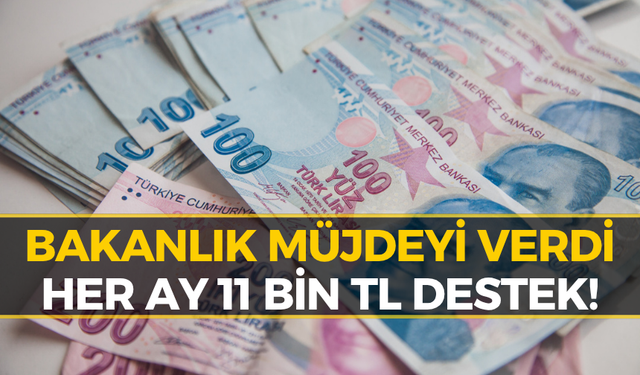 Çocuğu Olan Ailelere Devletten 11 Bin TL Destek!