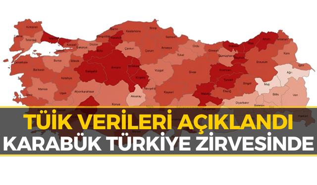 TÜİK Verileri Geldi! Karabük Türkiye Birincisi Oldu