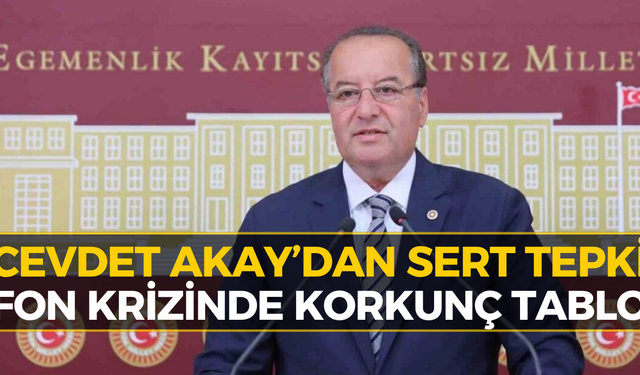 CHP'li Akay’dan Fon Krizi Çıkışı: 8 Milyar Dolar Nerede?
