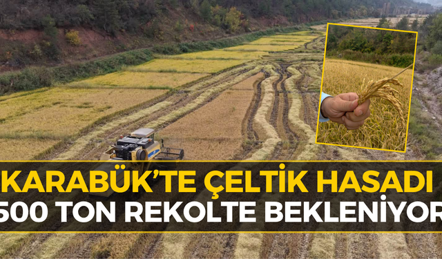 Karabük’te 595 Dekarlık Alanda Hasat Mesaisi Başladı