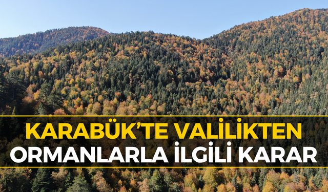 Karabük Valiliğinden Ormanlarla İlgili Flaş Karar!