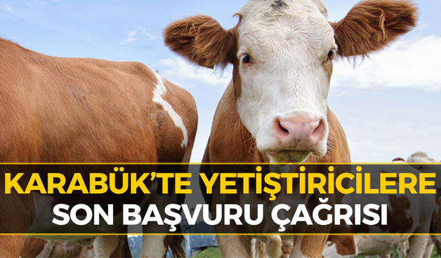 Karabük’te Üreticilere Destek Uyarısı: Bu Tarihi Kaçırmayın!
