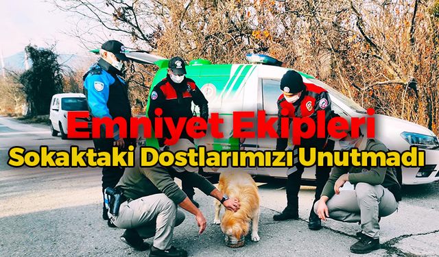 Emniyet Ekipleri Sokak Hayvanlarını Unutmadı