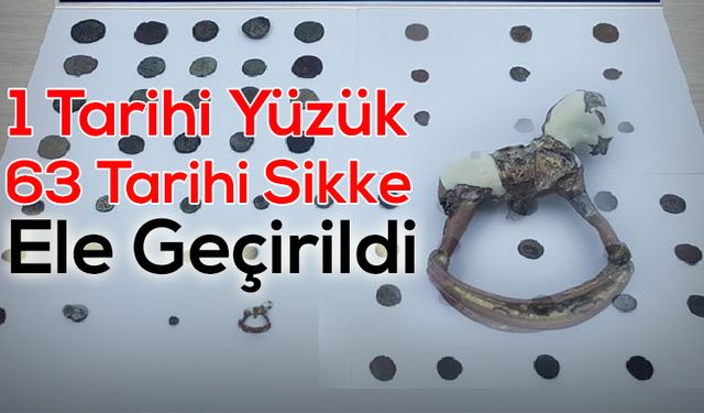 Tarihi Eser Kaçakçıları Yakalandı