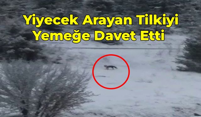 Tilkiyi Yemeğe Böyle Davet Etti