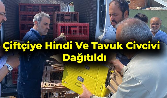 Eflani Çiftçisine Hindi Ve Tavuk Civcivi Dağıtıldı