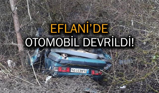 Karabük'te Devrilen Otomobilin Sürücüsü Yaralandı