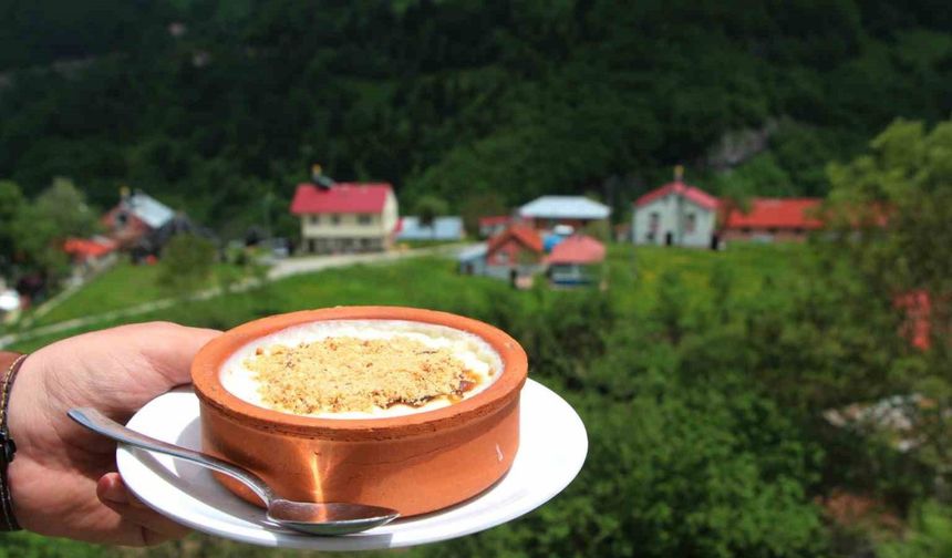 Trabzon’dan dünyaya açılan lezzet: Hamsiköy sütlacı