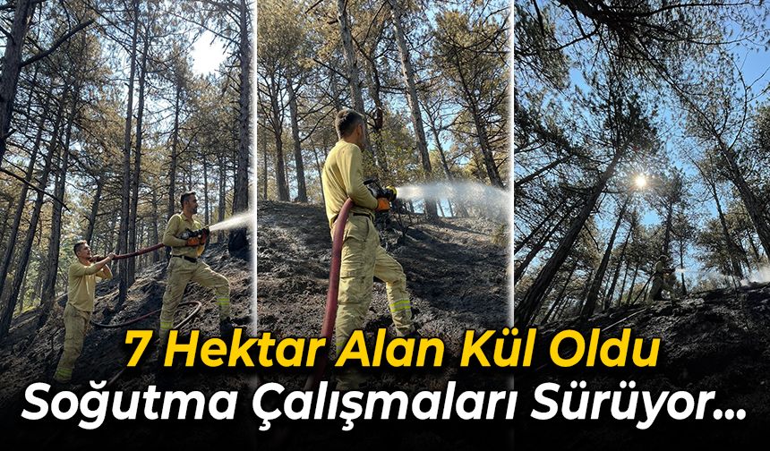 Karabük’te Orman Yangını: 7 Hektar Alan Kül Oldu
