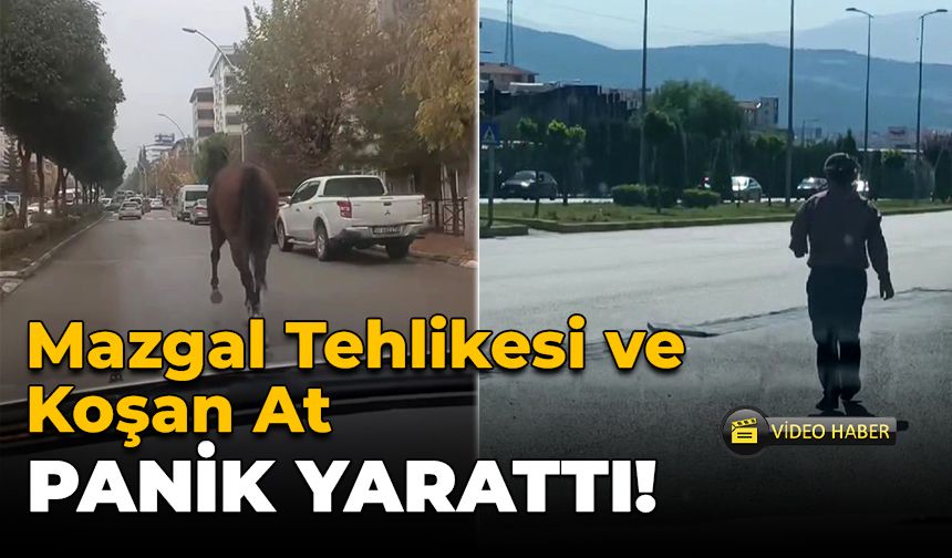 Mazgalı Vatandaş Düzeltti, Başıboş At Trafiği Karıştırdı!