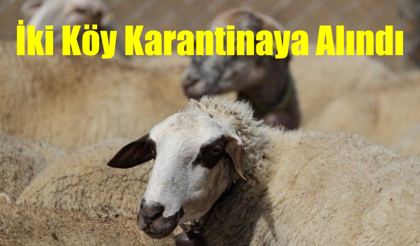 Bolu'da İki Köy Karantinaya Alındı