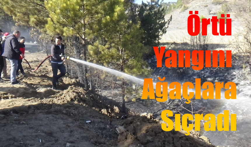 Yangında Erken Müdahale Faciayı Önledi