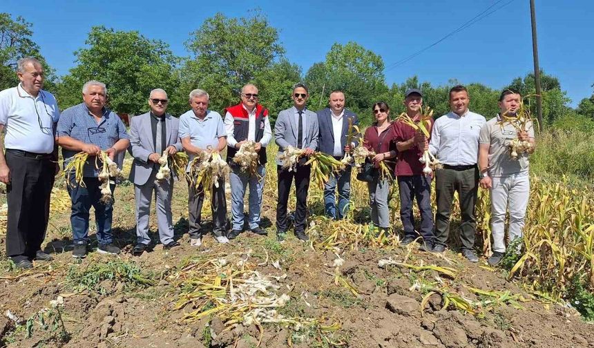 Zonguldak’ta ilk kez makineli sarımsak hasadı gerçekleştirildi