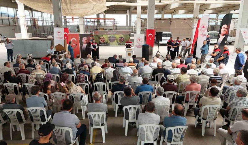 Fındık üreticilerine yüzde elli bedelle hasat filesi desteği